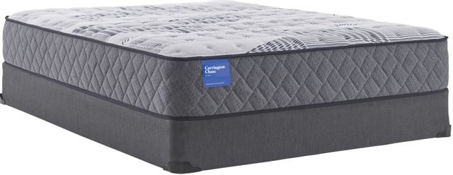 Carrington Chase by Sealy® Wensley Firm Queen Mattress 32