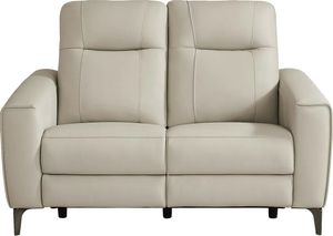 Parkside Heights Beige Leather Stationary Loveseat