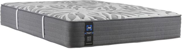 Sealy® Opportune II Hybrid Tight Top Plush Queen Mattress 1