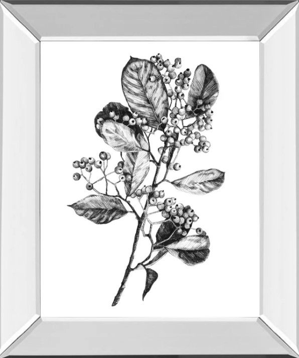 Classy Art Hawthorn Berry Branch I by Emma Scarvey Mirrored Frame Wall ...