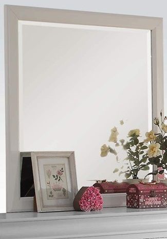 Acme Louis Philippe Wooden Rectangular Mirror in Platinum White