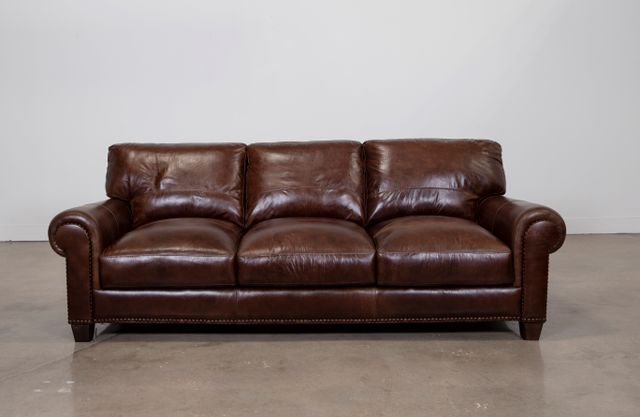 Soft Line Splendor Tan All Leather Sofa-1