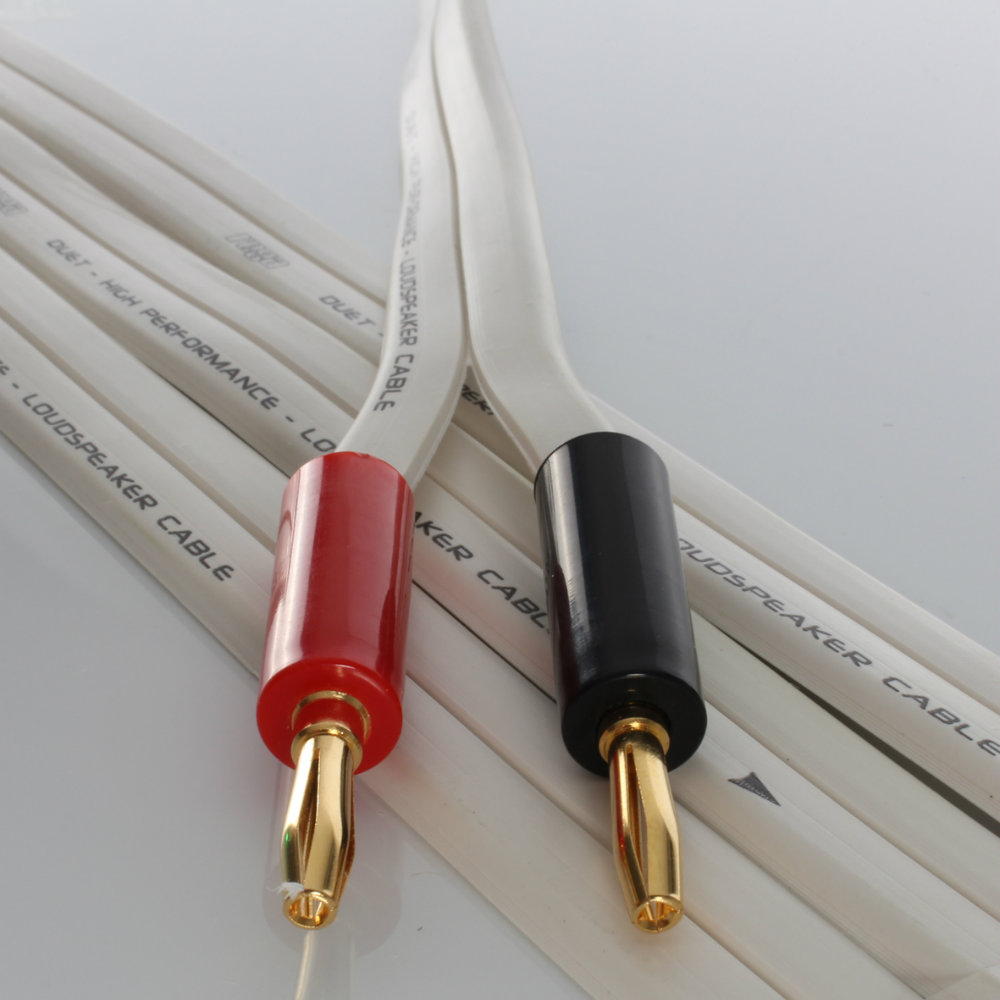 rega duet speaker cable