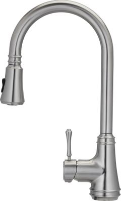 E2 Stainless Cotati Single Handle Gooseneck Kitchen Faucet with a Pull Down Spray