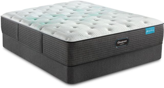 Beautyrest® Harmony™ Cayman™ Plush Pocketed Coil Tight Top California King Mattress 6