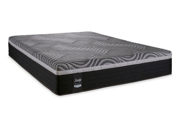 sealy taos gorge plush euro top twin mattress