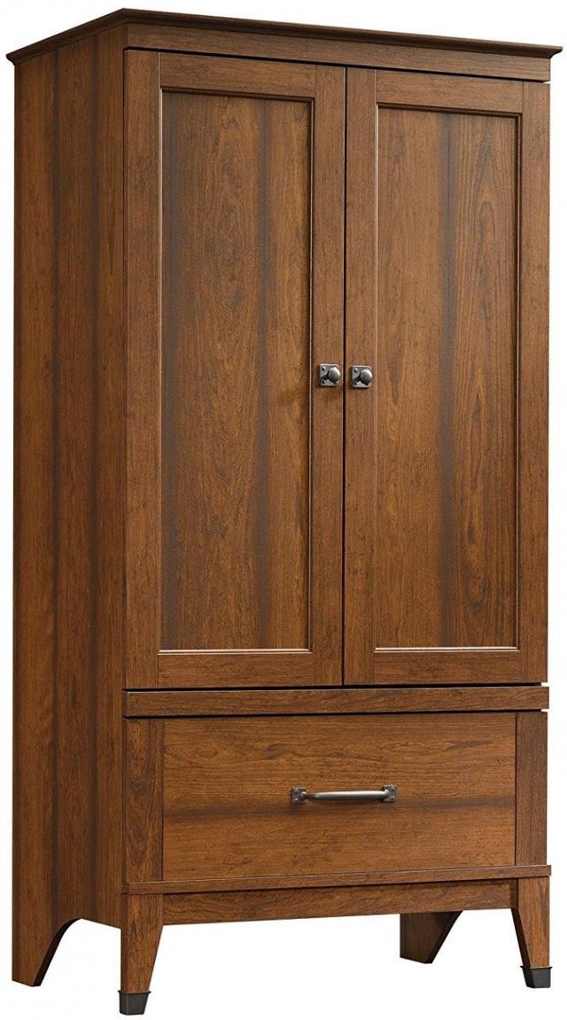 Sauder® HomePlus Dakota Oak® Cabinet, Big Sandy Superstore