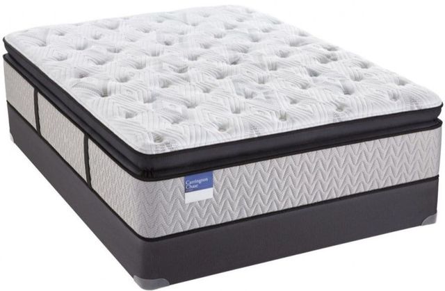 Carrington Chase by Sealy® Tattersall Pillow Top Hybrid Plush Queen Mattress 1