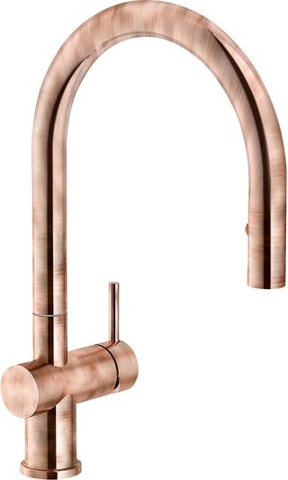 Franke Active Neo Brass Pull Out Faucet