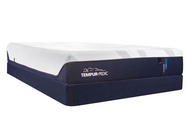 Tempur-Pedic® TEMPUR-ProAlign™ Soft Foam Queen Mattress 5
