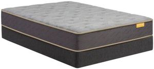 Simmons® Deep Sleep™ Wrapped Coil Plush Tight Top Queen Mattress in a Box
