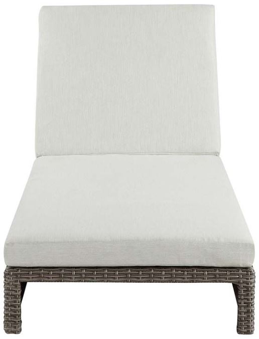 ACME Furniture Salena Beige/Gray Patio Lounge Chair