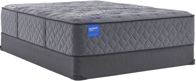 Carrington Chase by Sealy® Launceton Hybrid Firm Queen Mattress 53