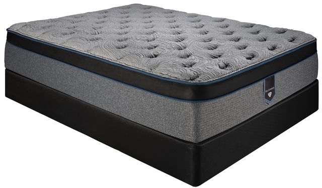 Spring Air Legend Hybrid Back Supporter™ Plush Euro Top King Mattress ...