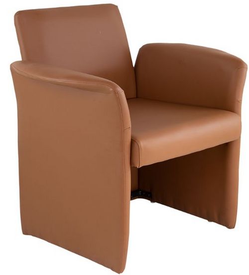 A & B Home Adelmo Caramel Accent Chair