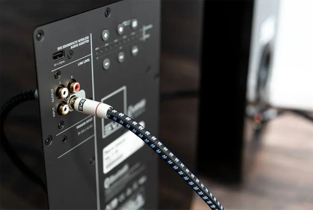 SVS SoundPath RCA Audio Interconnect 1 Meter Cable 2