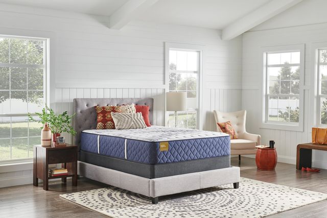 sealy golden elegance beauvior firm mattress review