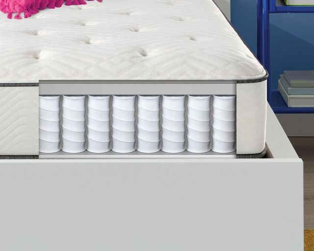 Simmons® Dreamwell Holiday™ Wrapped Coil Firm Tight Top Twin Mattress 2