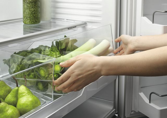 Réfrigérateur à congélateur inférieur à profondeur de comptoir de 32 po Fisher Paykel® de 17,1 pi³ - Acier inoxydable 9