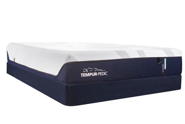 Tempur-Pedic® TEMPUR-ProAlign™ Medium Foam Queen Mattress 19