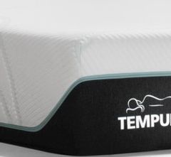 Tempur-Pedic® TEMPUR-ProAdapt™ Medium Memory Foam Queen Mattress