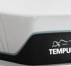 Tempur-Pedic® TEMPUR-ProAdapt™ Medium Memory Foam Queen Mattress-0