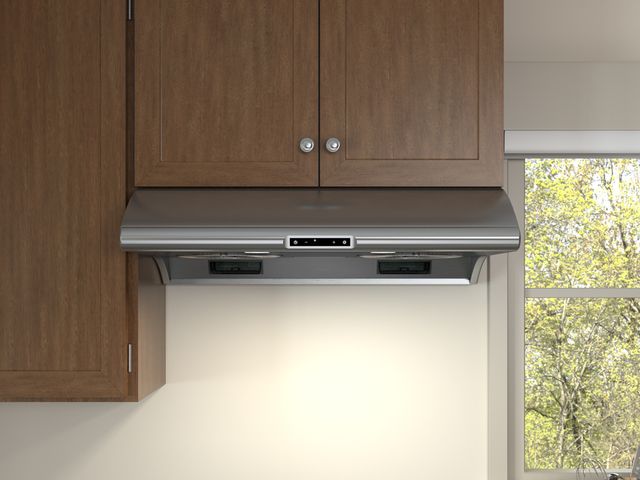 Zephyr Core Collection Typhoo 42" Stainless Steel Wall Ventilation