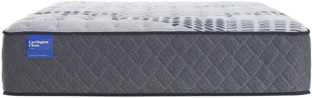 Carrington Chase by Sealy® Stoneleigh Hybrid Firm Queen Mattress 50