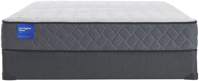 Carrington Chase by Sealy® Belgrave Tight Top Innespring Firm Queen Mattress 4