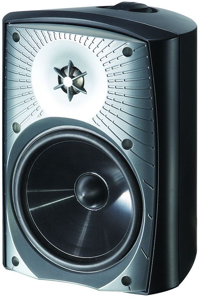 Paradigm® Stylus 6.5" Black Outdoor Speaker