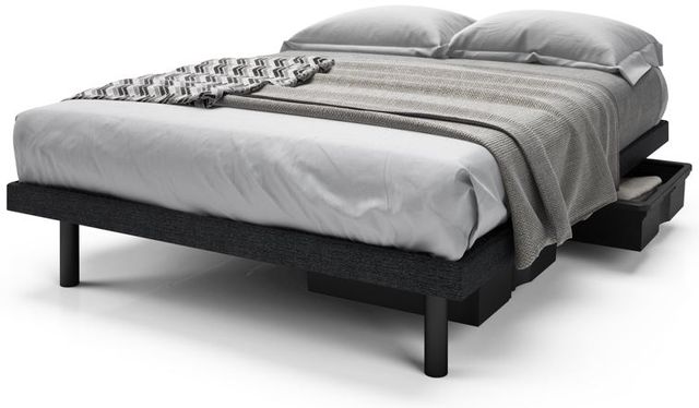 Beaudoin Reflexx Stallion Black 13" Twin Platform Bed with 2 Drawers 0