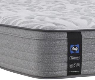 Sealy® Essentials™ Spring Silver Pine Innerspring Soft Faux Euro Top Queen Mattress