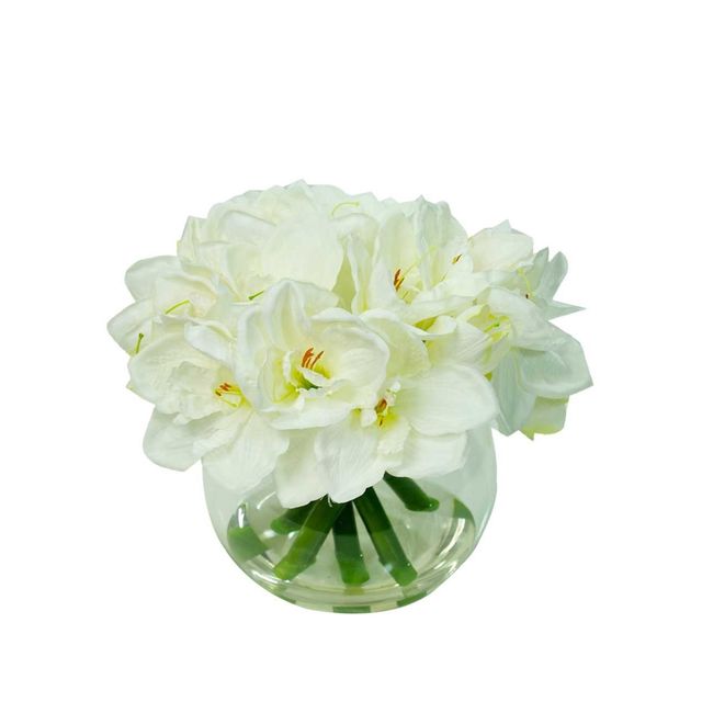 Foster's Point Amaryllis in Glass Bowl-0