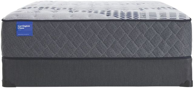 Sealy® Carrington Chase Stoneleigh Wrapped Coil Firm Tigh Top Queen Mattress-3