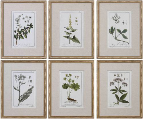 Uttermost® by Grace Feyock Green Floral Botanical Study 6-Piece Prints