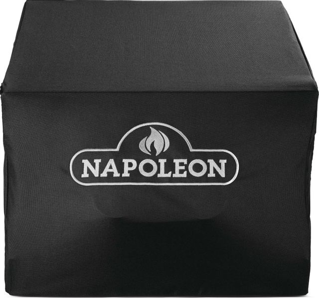 Napoleon Cast Iron 6 qt Dutch Oven 56059