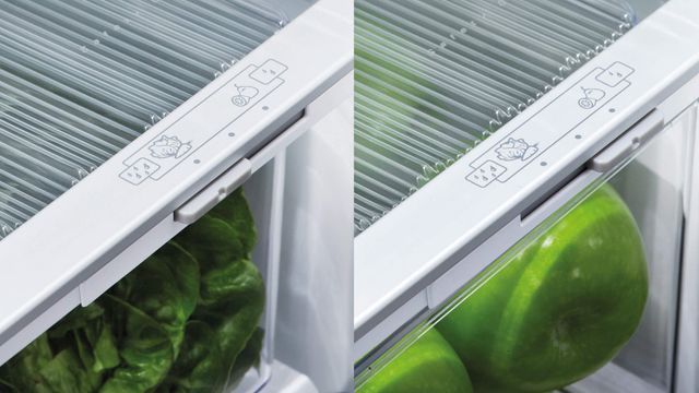 Fisher & Paykel Series 5 17.5 Cu. Ft. Stainless Steel Counter Depth Bottom Freezer Refrigerator 6