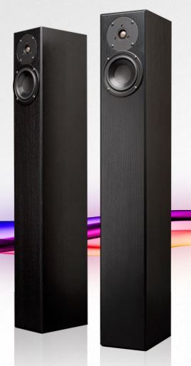 Totem Acoustics High-Fidelity Floor Standing Speaker