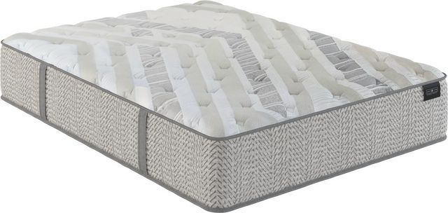 Scott Living™ Select Sydney Hybrid Plush Tight Top Queen Mattress ...