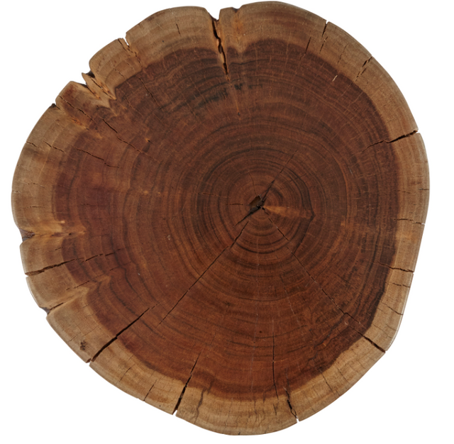 Jofran Inc. Global Archive Hardwood Stump Accent Table 1