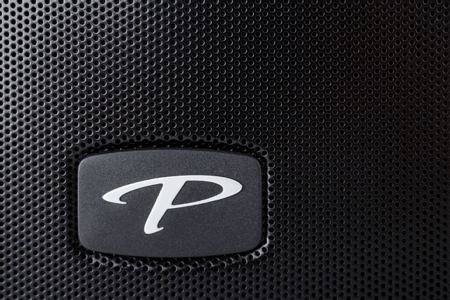 Paradigm® PW 800 Black Premium Wireless Series 5" Wireless Speaker 5