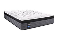 Sealy® RMHC IV Performance Cushion Firm Euro Top Double Mattress