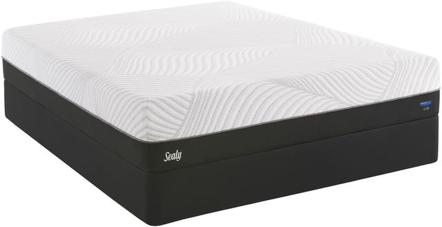 Sealy® Conform™ Performance™ Fondness N7 Gel Memory Foam Cushion Firm Queen Mattress 4
