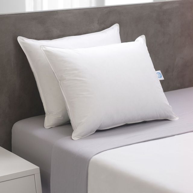 Concept ZZZ White Queen Prime Feather Fiber Pillow 4