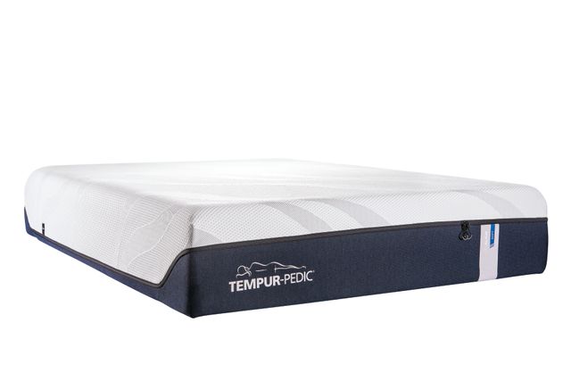 Tempur-Pedic® TEMPUR-LuxeAlign™ Soft Foam Twin XL Mattress 0