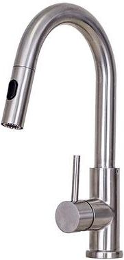 E2 Stainless Clarkson Single Handle Gooseneck Kitchen Faucet with a Pull Down Spray