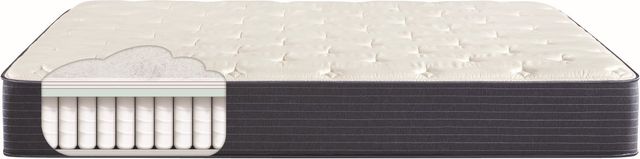 Serta® Serta Classic™ Wrapped Coil Tight Top Plush Queen Mattress 2