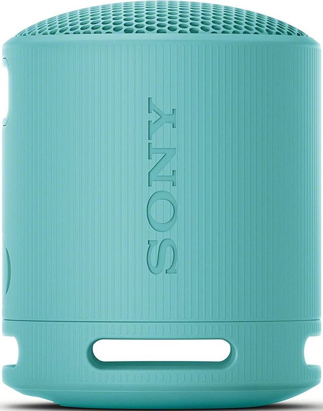 Sony® Blue Wireless Portable Speaker