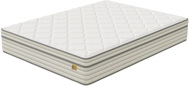 Eclipse® Bedding Industries of America Ohio Wrapped Coil Medium Plush Pillow Top Queen Mattress in a Box