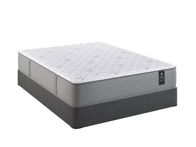 Restonic Anniversary Medium King Mattress | BlvdHome